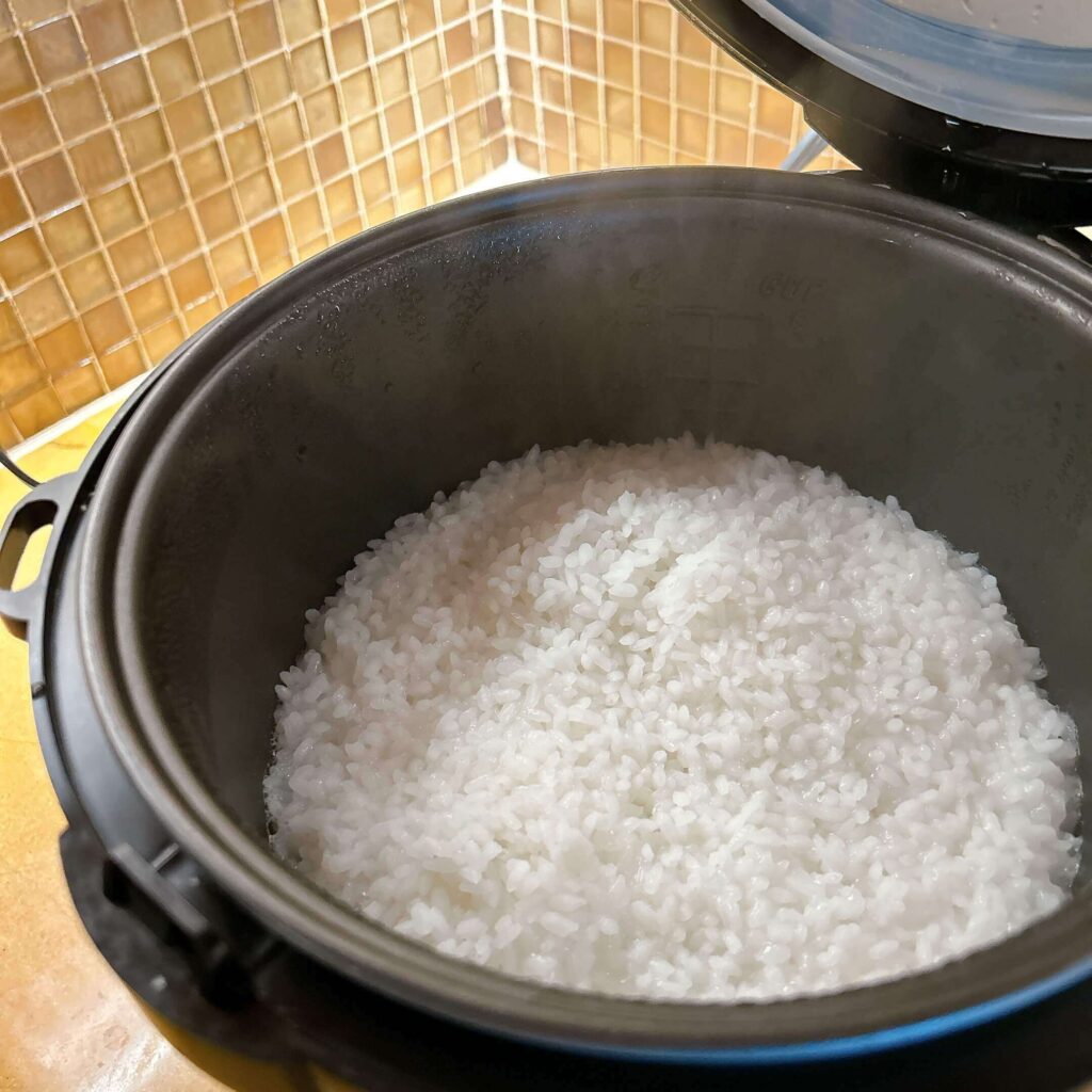 ザグランドアイランダーヒルトン 炊飯器