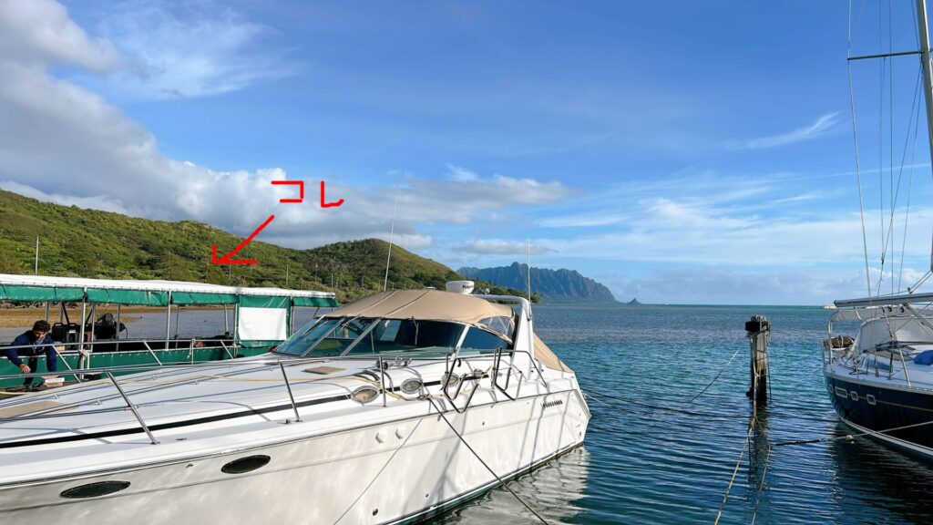 天国の海ツアー キャプテンブルース