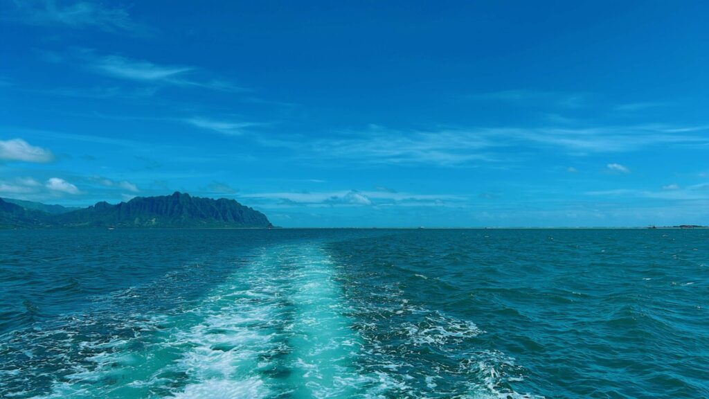 天国の海ツアー キャプテンブルース