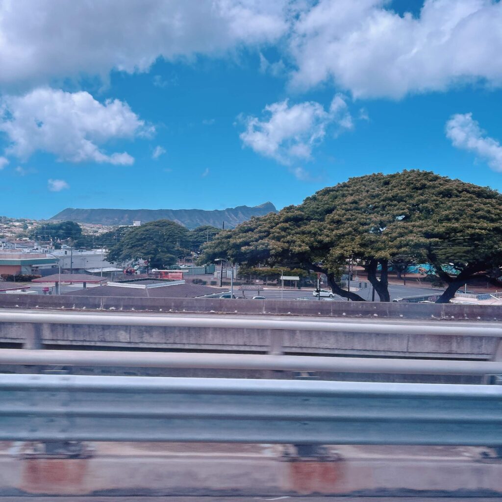 ハワイ ハナウマ湾ツアー