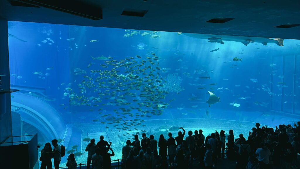 美ら海水族館